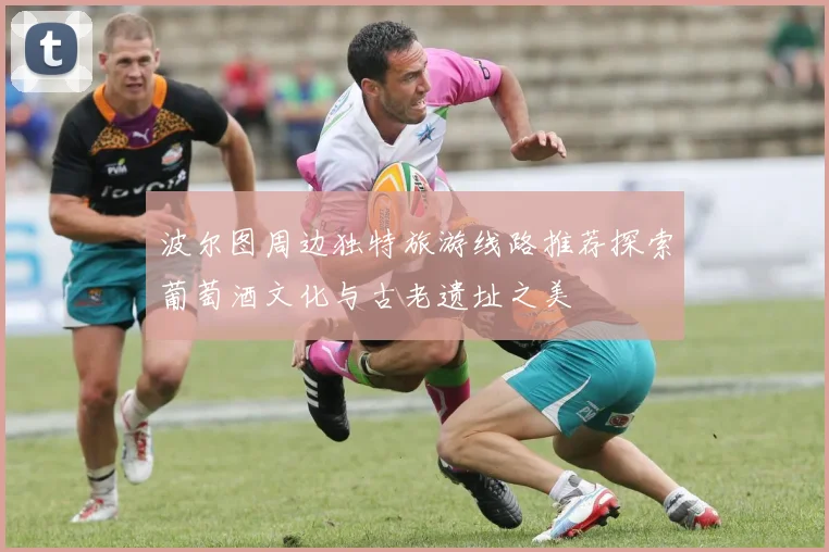 波尔图周边独特旅游线路推荐探索葡萄酒文化与古老遗址之美