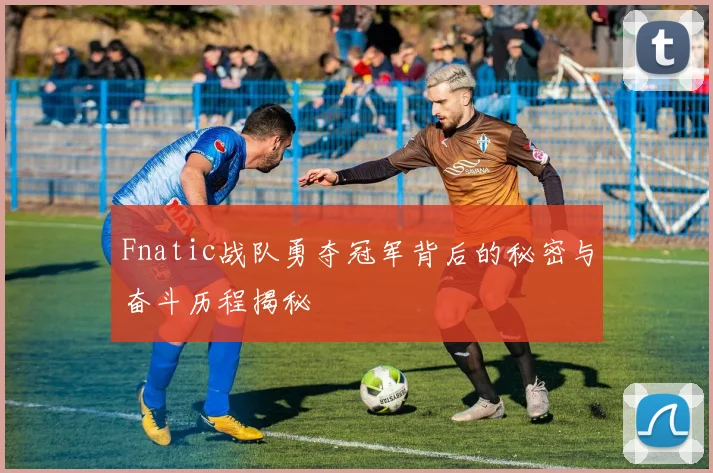 Fnatic战队勇夺冠军背后的秘密与奋斗历程揭秘