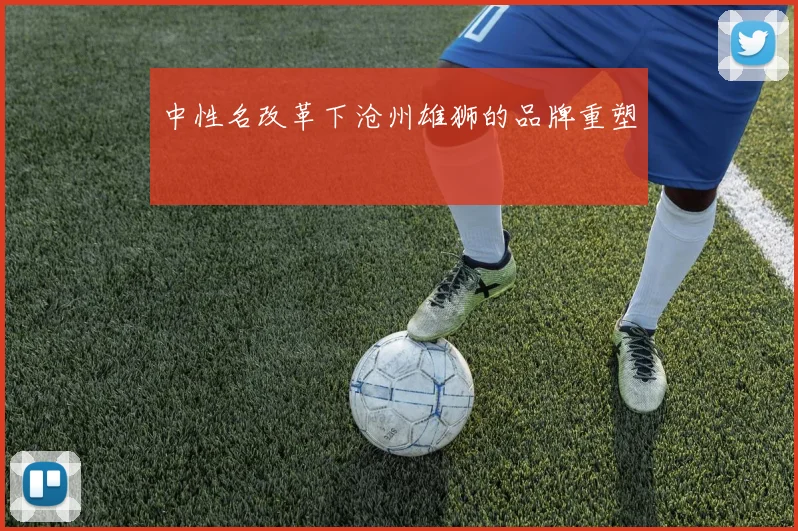 中性名改革下沧州雄狮的品牌重塑