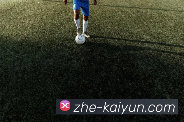 奖项证书